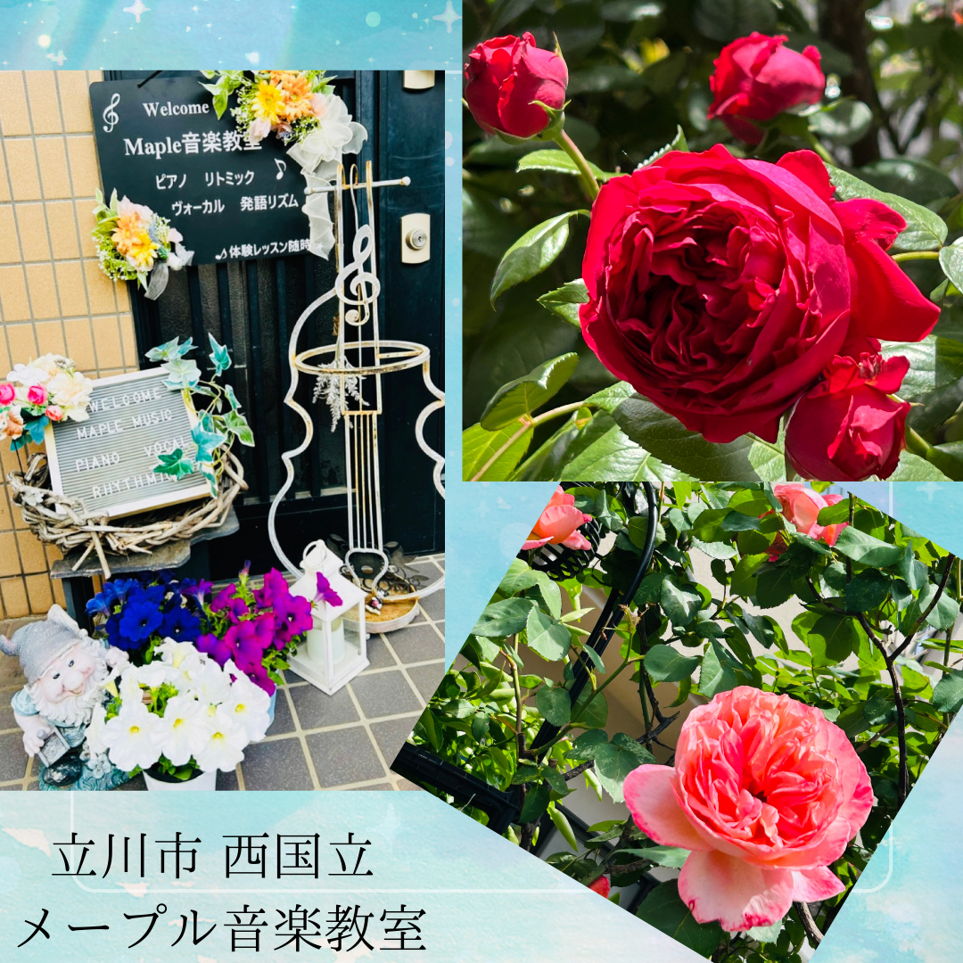 立川市 西国立 ピアノ・リトミック・ボーカル♪メープル音楽教室 植物を育てることは音楽レッスンと共通点がたくさん